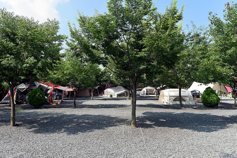 밀양사계절야영장 대표 사진