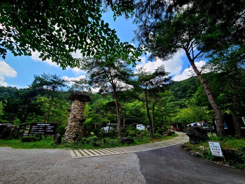 제천 덕동계곡 '드래곤 오토캠핑장' 107번 사이트 후기