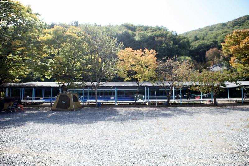비타민 캠핑장 시설 사진 3
