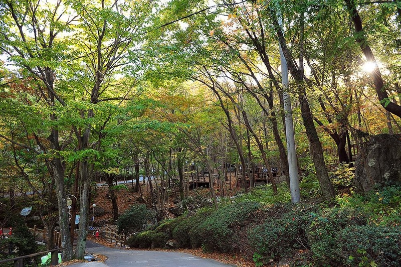 거제자연휴양림 시설 사진 8