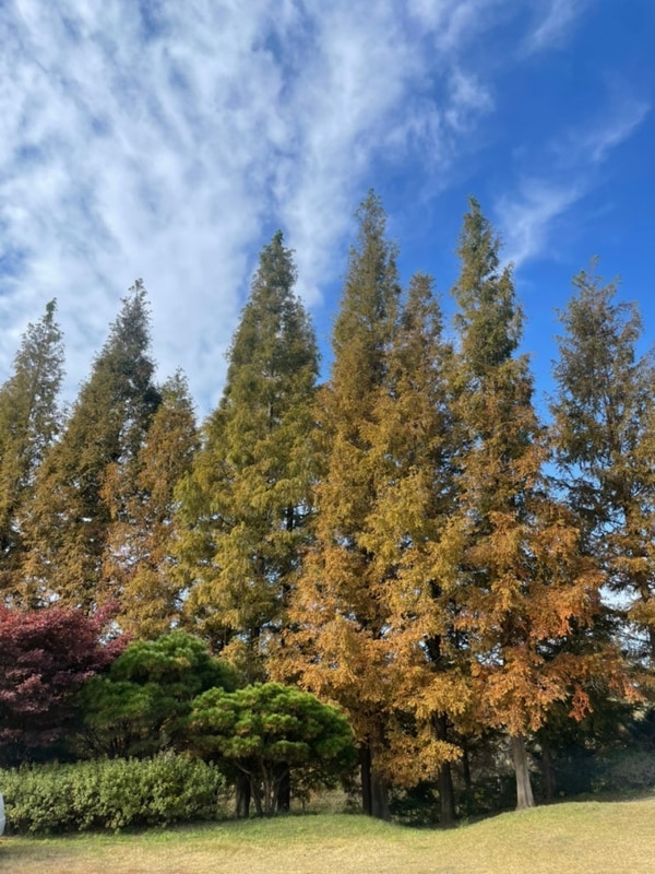 캠핑일기 #20 서산 삼원레저타운 캠핑장