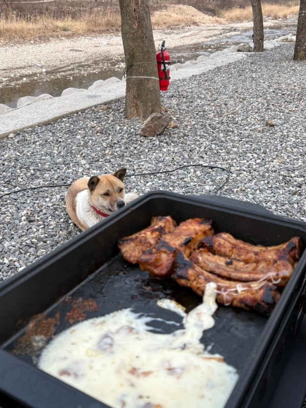 네 번째 캠핑, 전북 완주 ‘래미안밸리 캠핑장’
