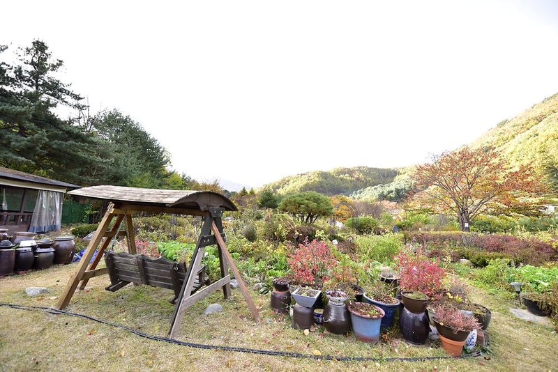 들꽃여울캠핑장 시설 사진 8