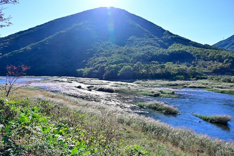 자양보오토캠핑장 시설 사진 12
