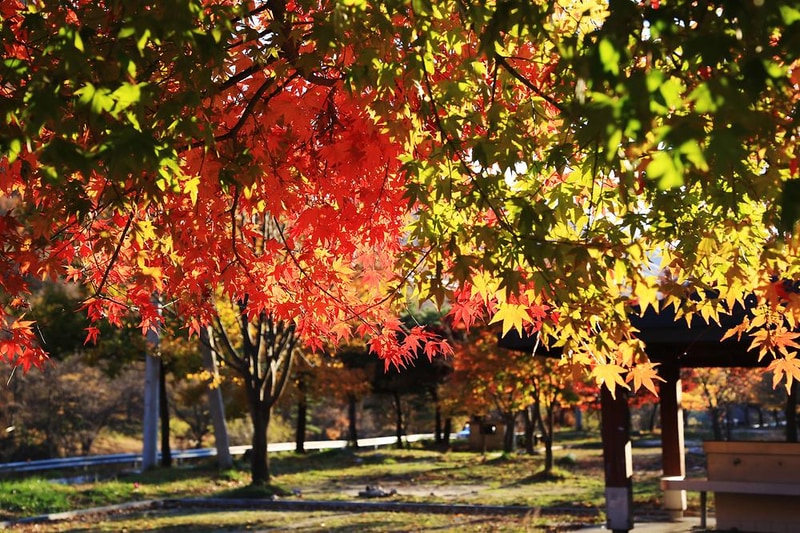 달궁자동차야영장 시설 사진 12