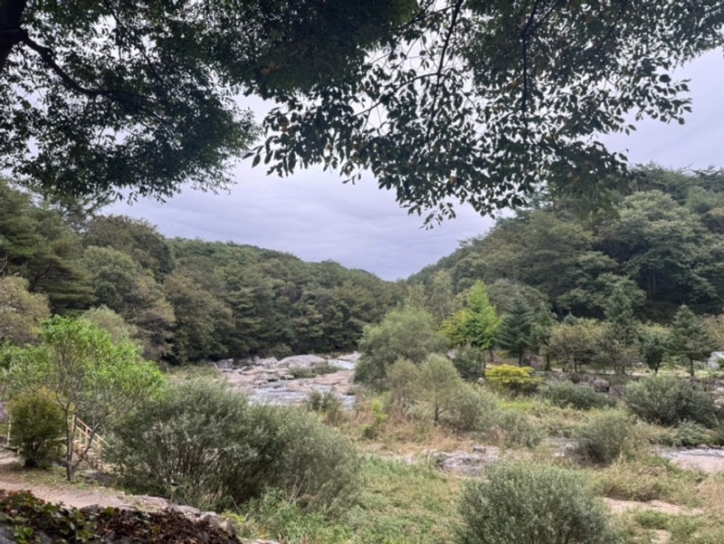 홍천 개암벌용소관광농원 캠핑장 우중캠핑