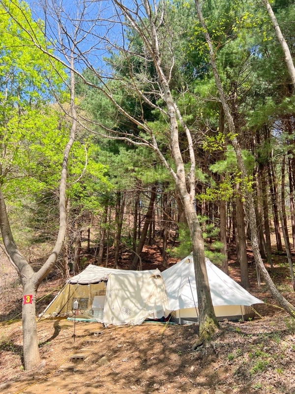 [횡성] 동그라미캠핑장에서 2박3일️