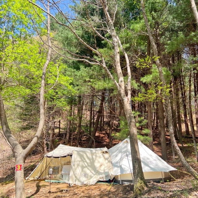 동그라미캠핑장 대표 사진
