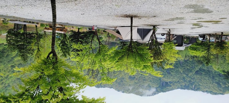 파인트리캠핑장 시설 사진 52