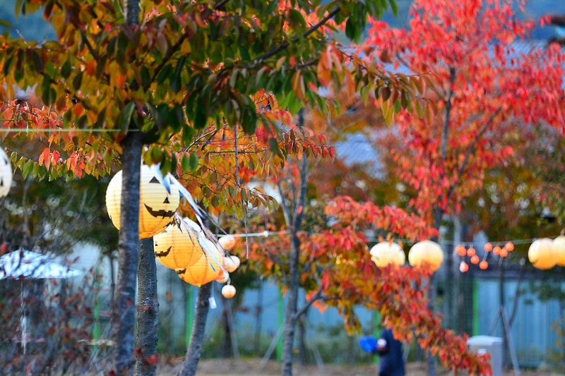 아리움캠핑장 시설 사진 29