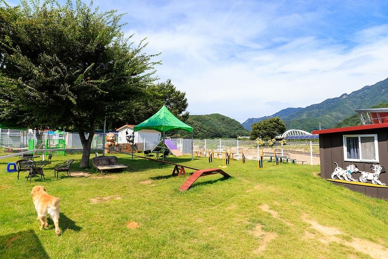 젠틀펫 파라다이스 시설 사진 10