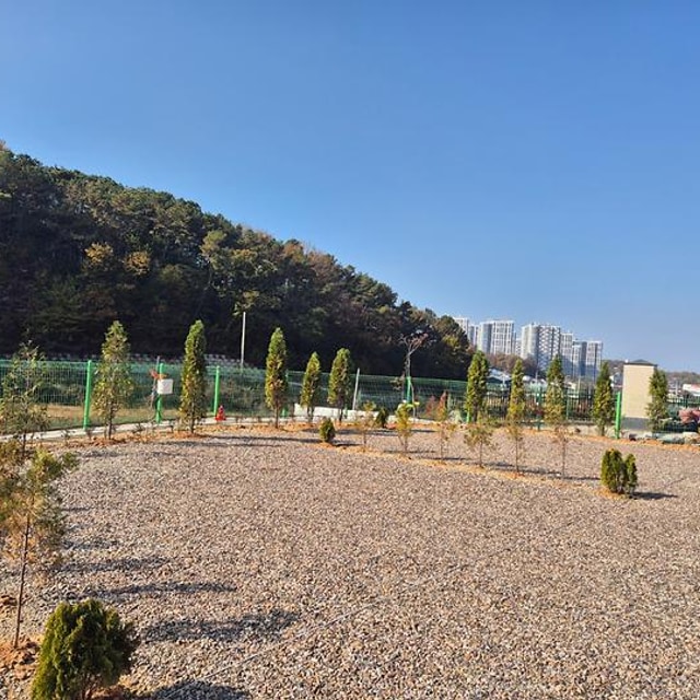 파주 성수캠핑장