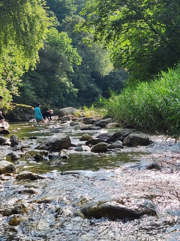 서로 사랑하기로 선택하는 것(영월물마루캠핑장 25.08.01...