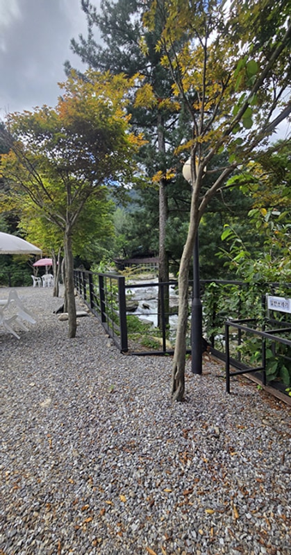 가평 리즈밸리 글램핑캠핑장에서 보내는 소박한 가을의 하루:))