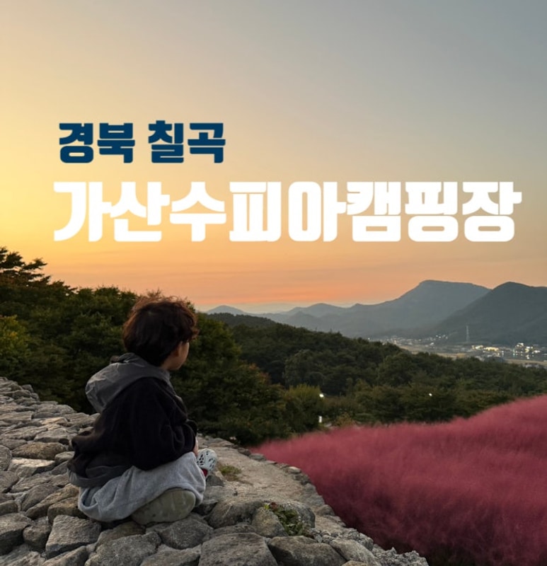 [칠곡 가산수피아캠핑장] 대형 핑크뮬리정원에서 캠핑, 아이들...