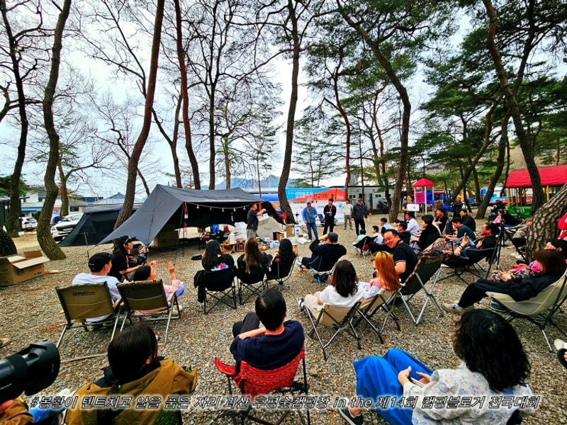 봉황이 텐트치고 알을 품은 자리 괴산 후평숲캠핑장 in the...