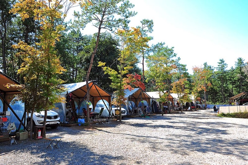 광릉숲 이야기 캠핑장 시설 사진 8