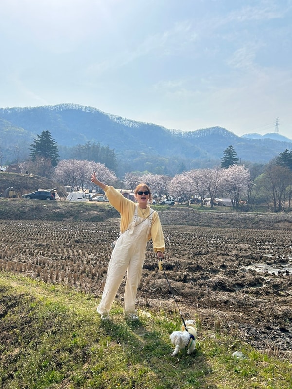 용인 반딧불캠핑장 애견동반 후기 (벚꽃캠핑,선착순 배정)