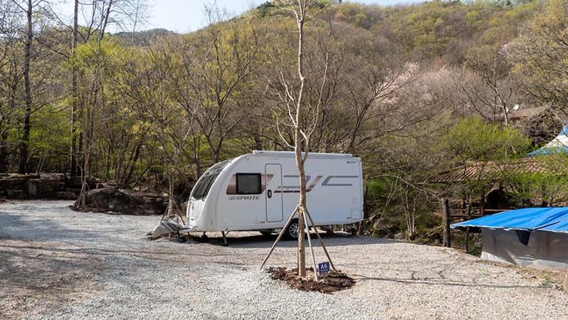 예원캠핑장 대표 사진