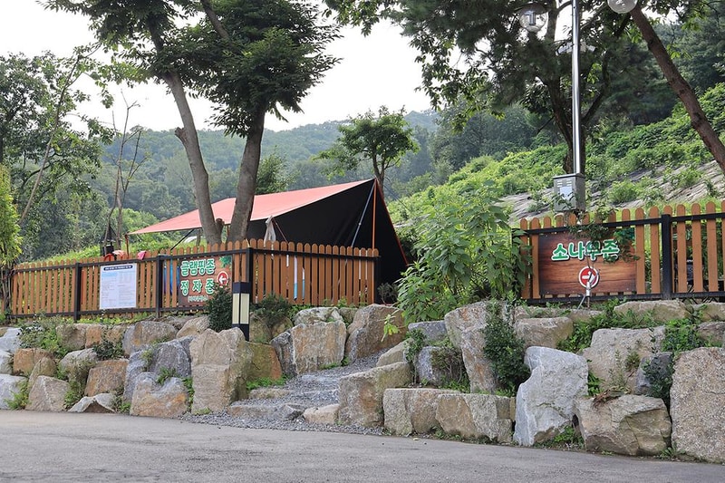 청계산 골든밸리 가족캠핑장 시설 사진 18