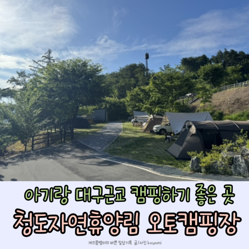 아기랑 대구근교 캠핑 : 청도자연휴양림 오토캠핑장 B구역...