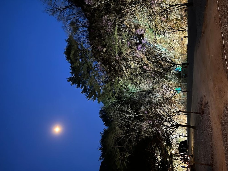 네스트캠핑 시설 사진 5