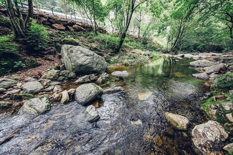 자연에 머물다 시설 사진 32