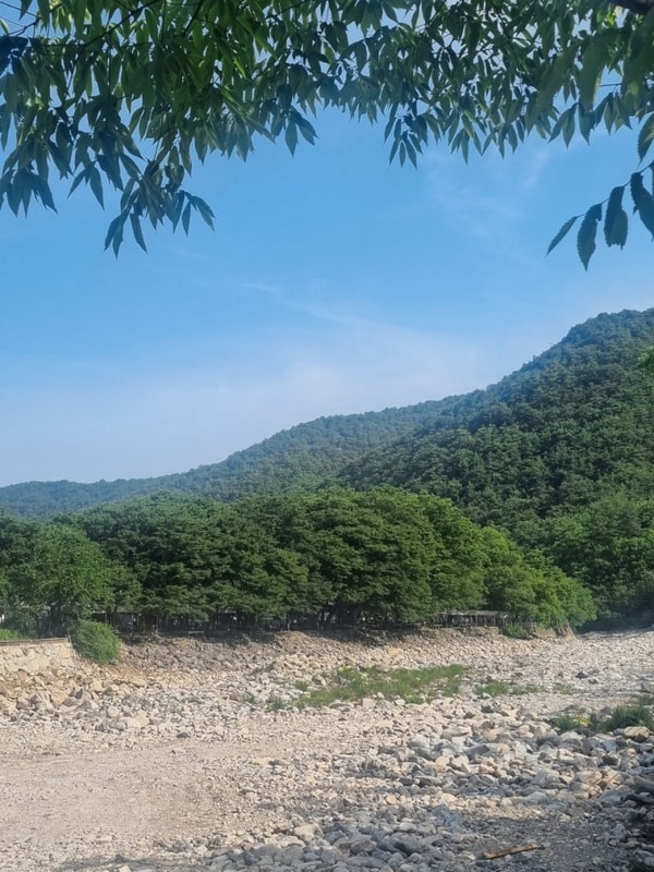 청도 조은자리캠핑장 키즈캠핑장 다녀온 솔직후기:) 청도...