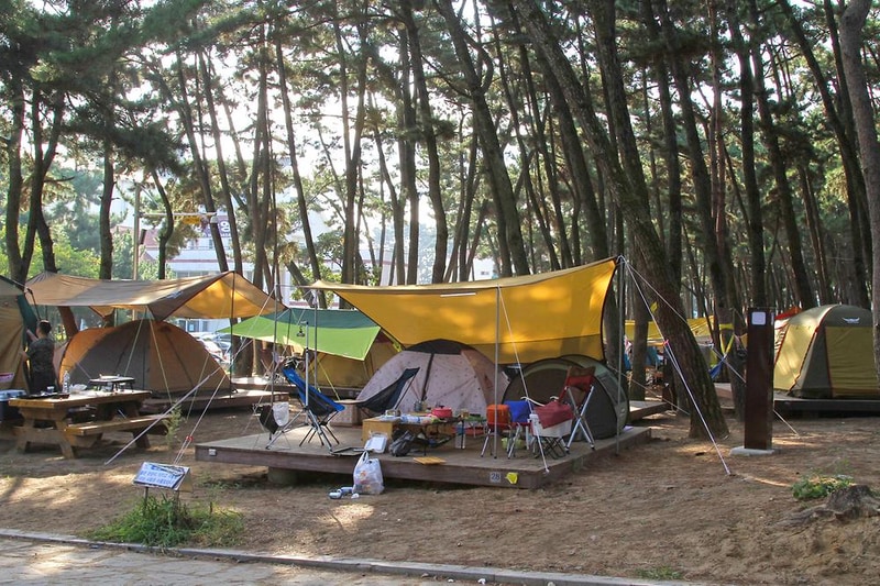 대천해수욕장 야영장 시설 사진 11