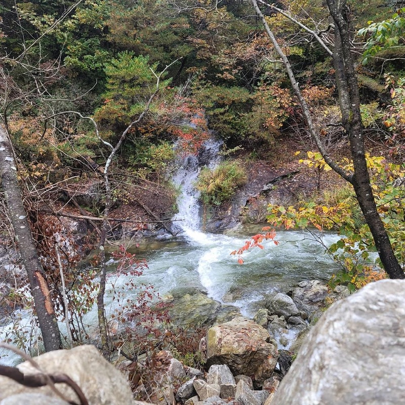 포레 앙비떼 시설 사진 9