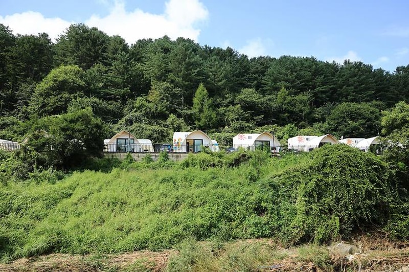 가평 네잎클로버 카라반 글램핑 대표 사진