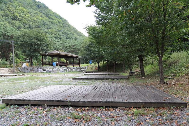 금물산하늘소캠프 대표 사진