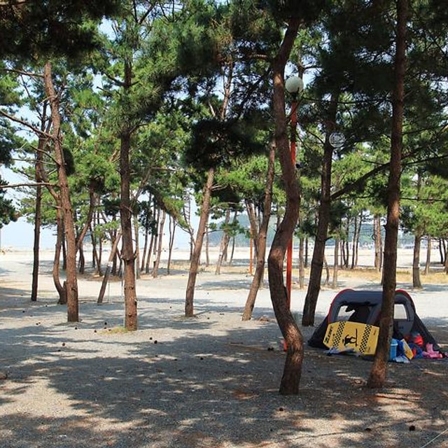 어은돌송림캠핑장