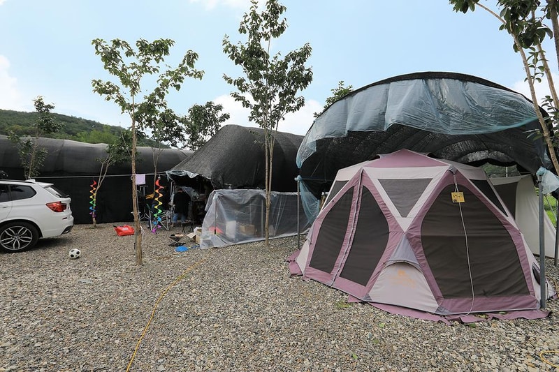 코끼리관광농원 시설 사진 16