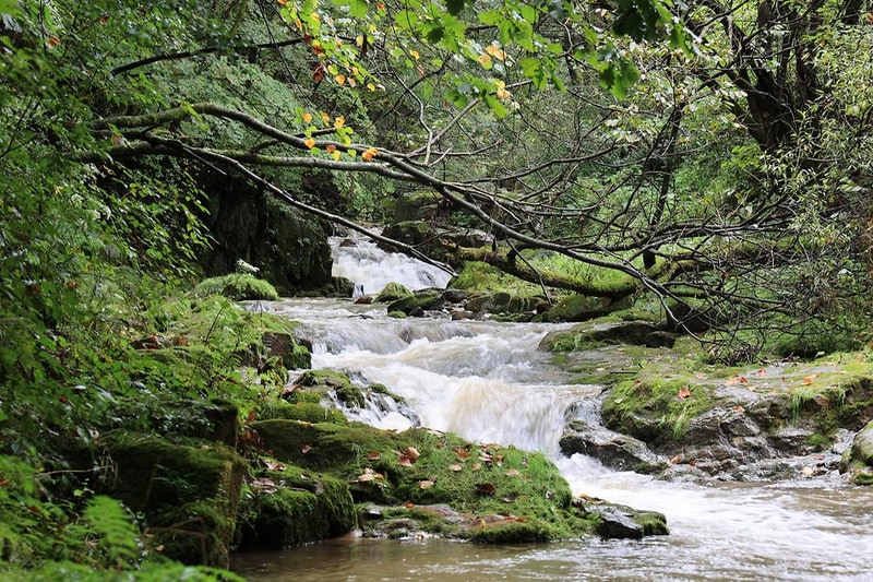 평창바샘캠핑장 시설 사진 11