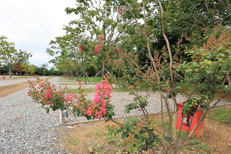 베르아델 승마클럽 시설 사진 13