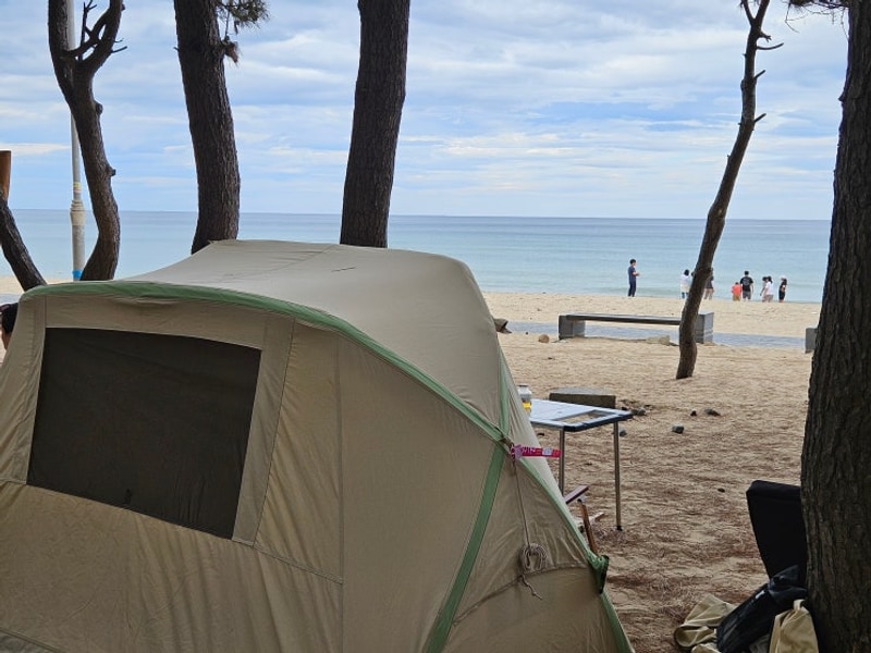 포항 노지 캠핑장 화진해수욕장 야영장 시설, 가격, 후기