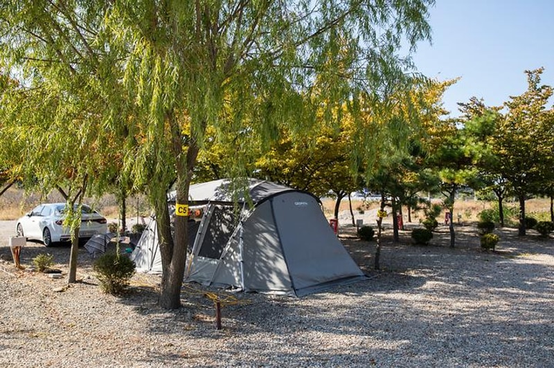 선재오토캠핑장 대표 사진