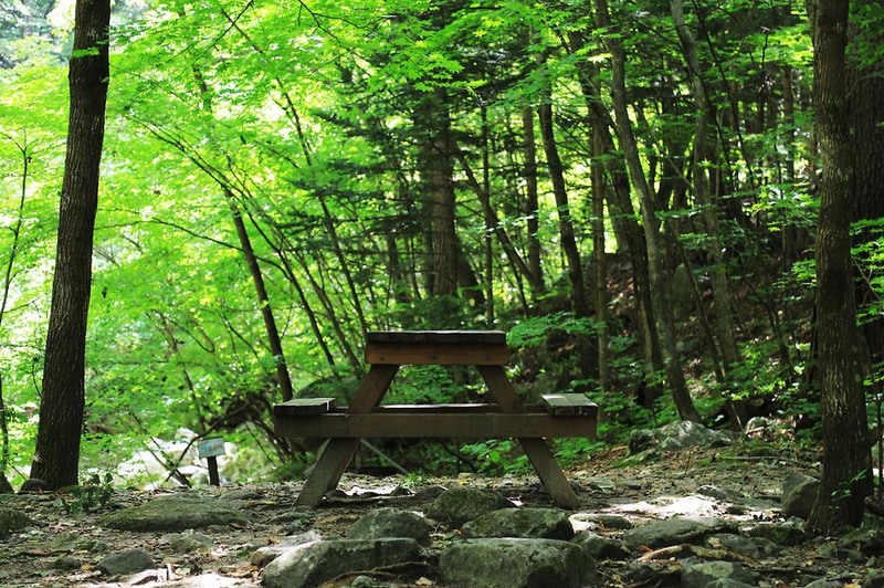 방태산 자연휴양림 캠핑장 시설 사진 9