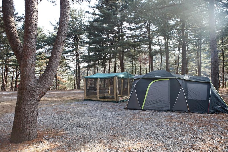 (주)수동자연마을 힐링별밤수목원캠핑장 시설 사진 6