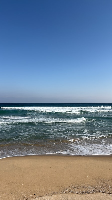 [고성 속초/아라 캠프] 2025년 :: 크리스마스 카라반 여행