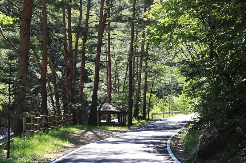국립미천골자연휴양림 시설 사진 14
