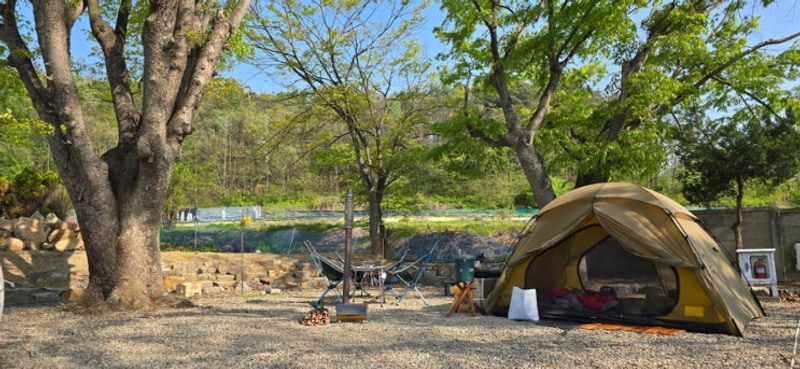 #167 캠핑 20250426~27 [음성 솔부엉이캠핑장]