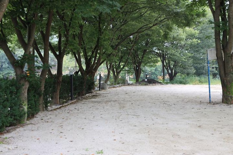 느티나무 캠핑장 대표 사진