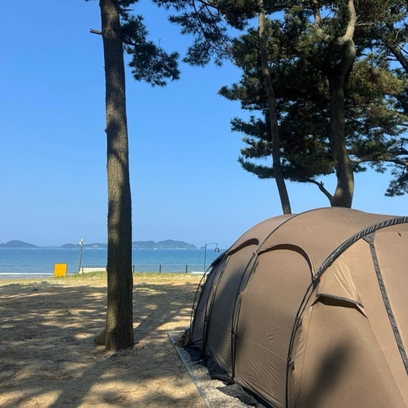 태안 마검포힐링캠핑장 서해캠핑장 장단점 후기 (3-6사이트)