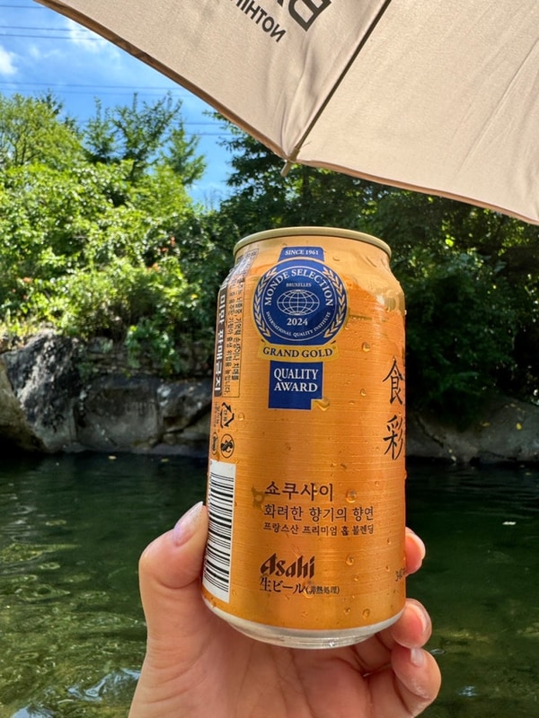 여름캠핑 영월 무릉도원캠핑장 영월캠핑장 캠핏 예약...