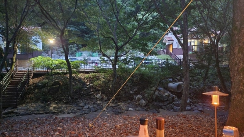 금산산림문화타운 캠핑