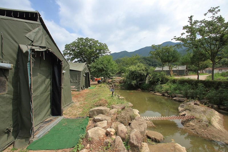 Camp 1950 시설 사진 14