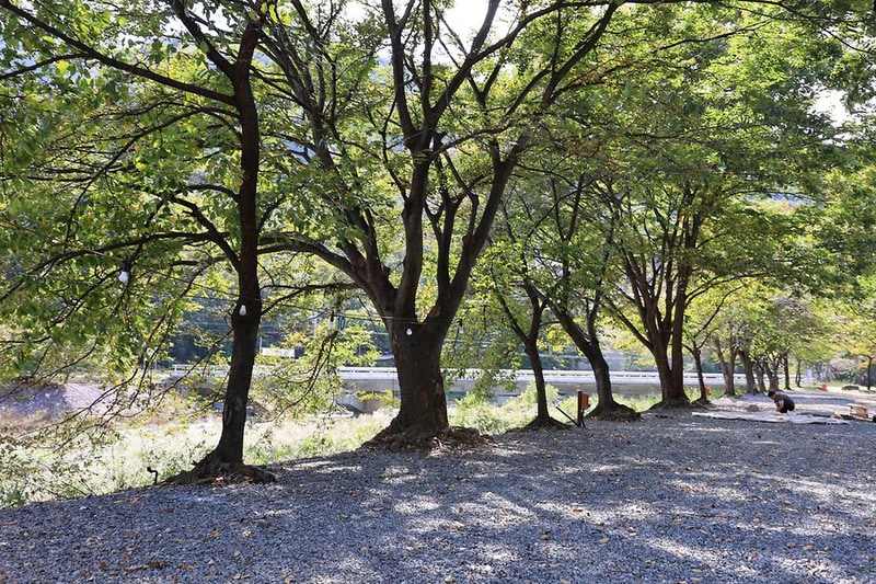 밀양밸리캠핑장 시설 사진 2