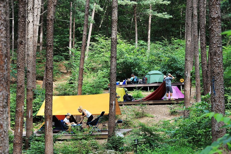 호명산잣나무숲속캠핑장 시설 사진 15